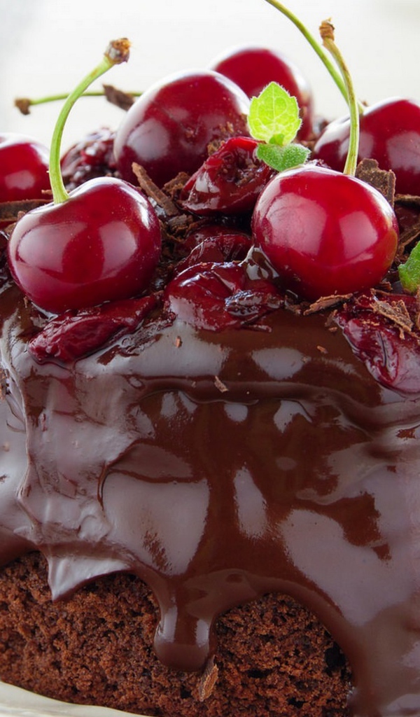 Шоколадный десерт со свежими вишнями 
