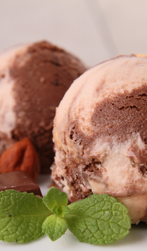 Шоколадное мороженое с лесными орехами 