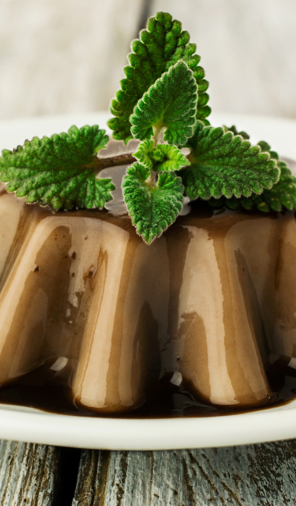 Десерт из желе на белой тарелке с шоколадом