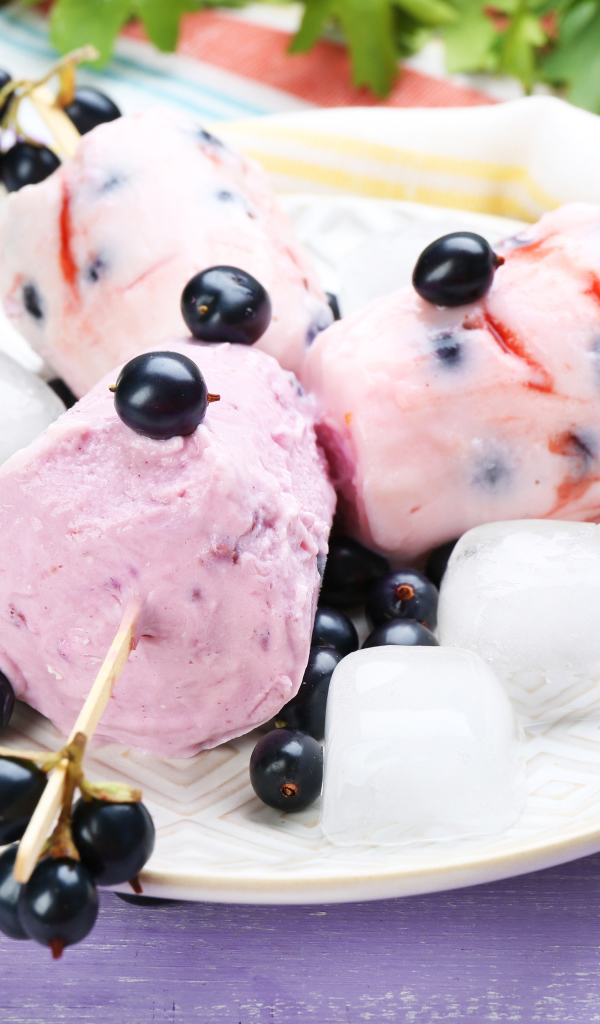 Фруктовое мороженое с ягодами черной смородины
