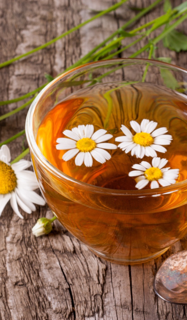 Стеклянная чашка чая с ромашкой