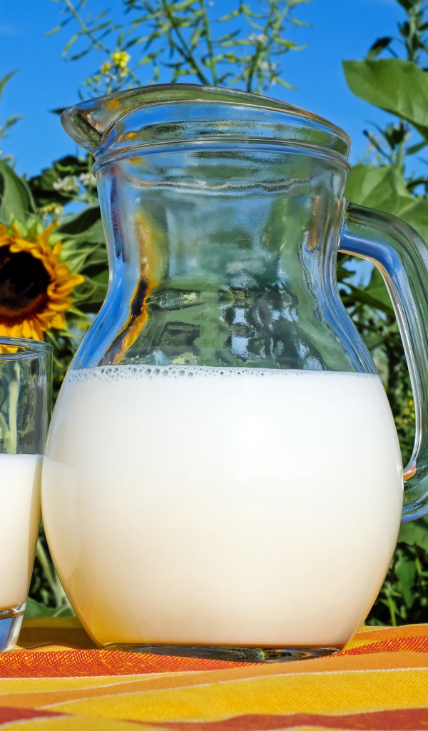 Стеклянный кувшин свежего молока со стаканом на столе