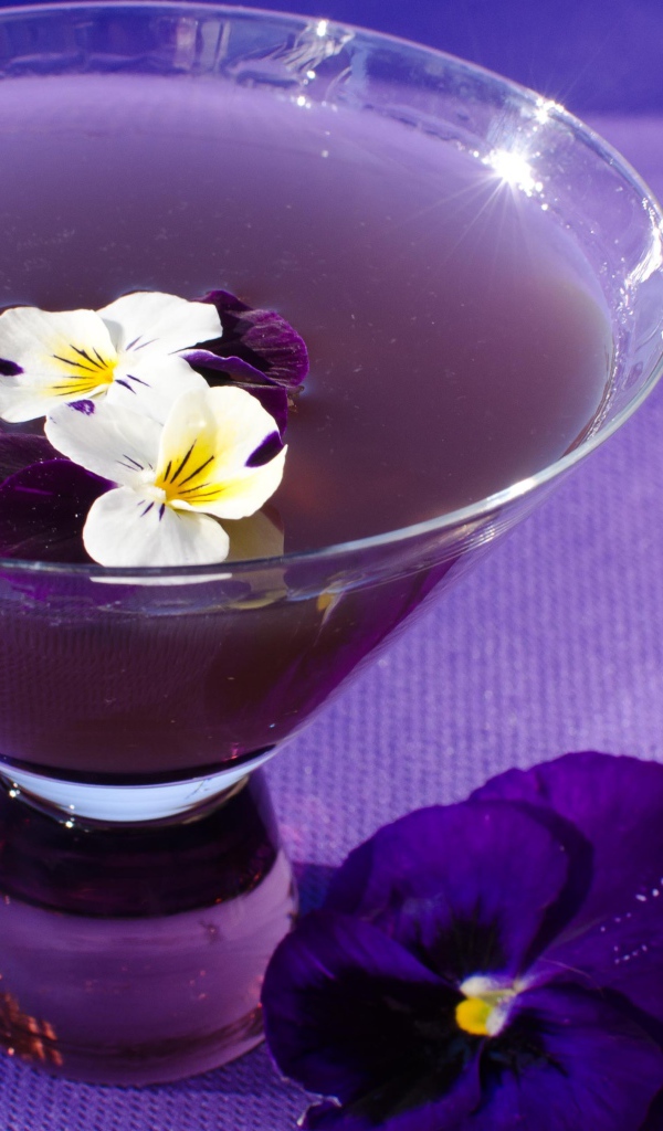 Фиолетовый коктейль Сангрия с текилой и цветами фиалки