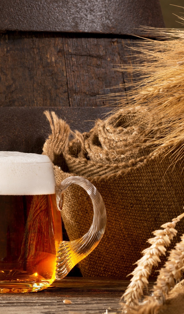 Два бокала пива и колосья пшеницы 