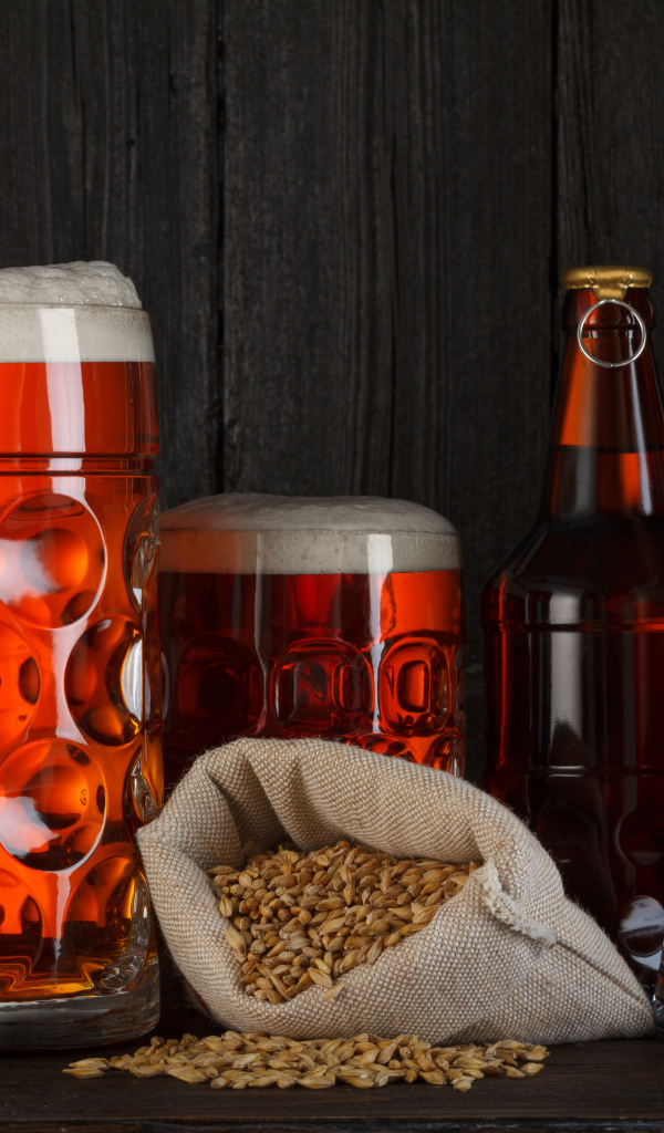 Пшеничное пиво в бокалах с сушеной рыбой вомер 