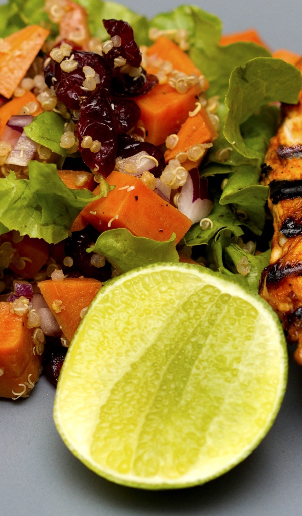 Аппетитный кусочек жареной курицы гриль на тарелке с овощами