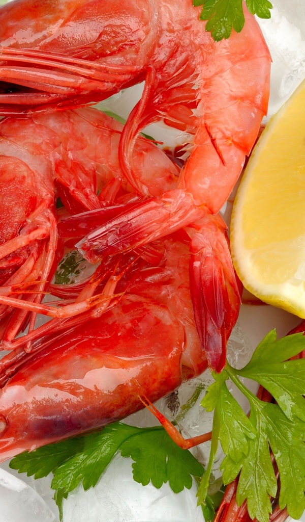 Вареные креветки с лимоном и кусочками льда