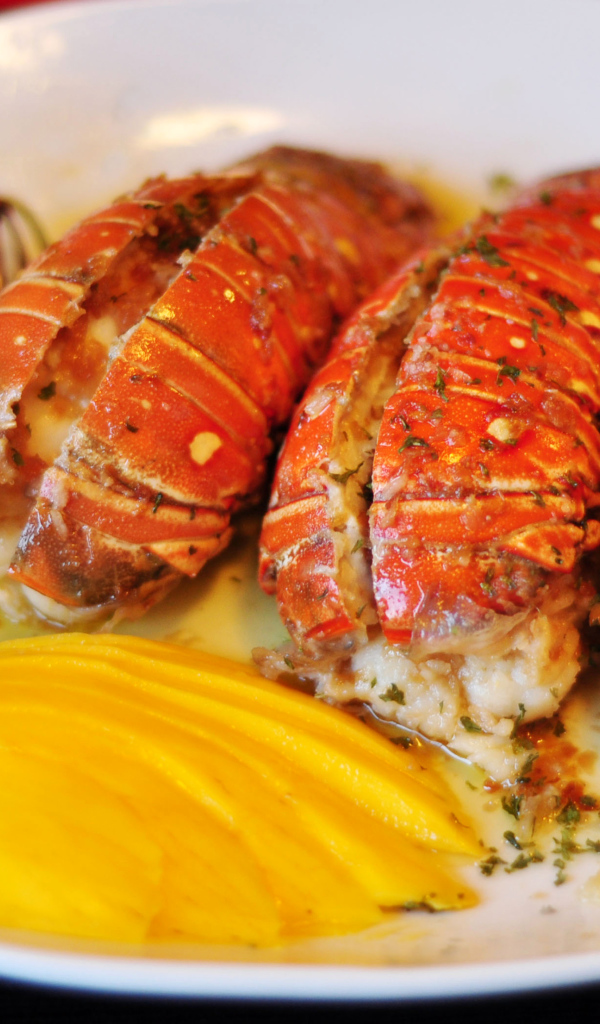 Омар с овощами на белой тарелке 