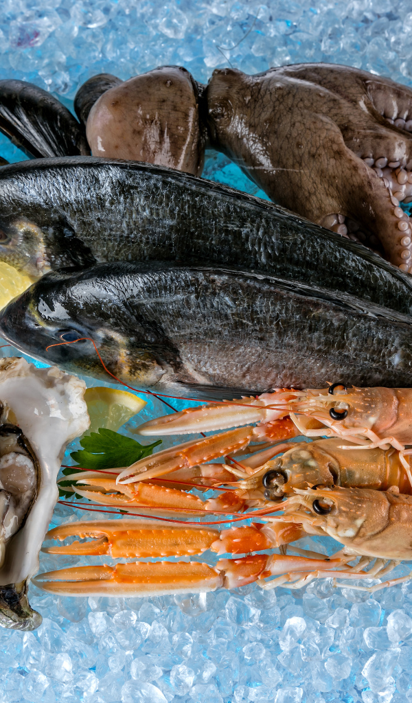 Морепродукты креветки, рыба, мидии лежат на льду