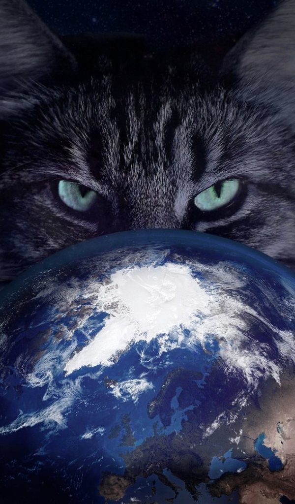 Insidious gray cat with the planet Earth in the clutches