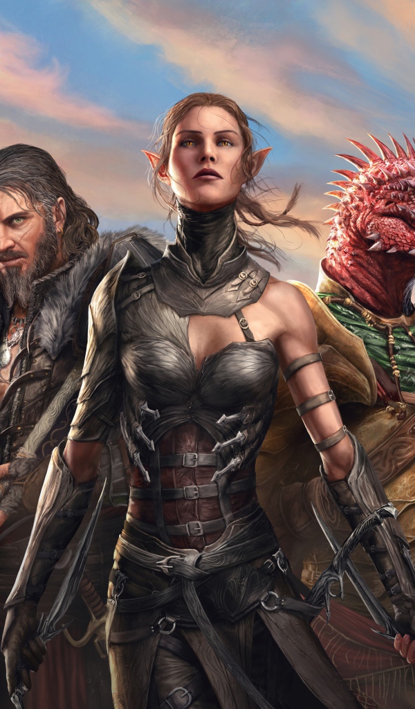 Персонажи игры Divinity. Original Sin II, 2017