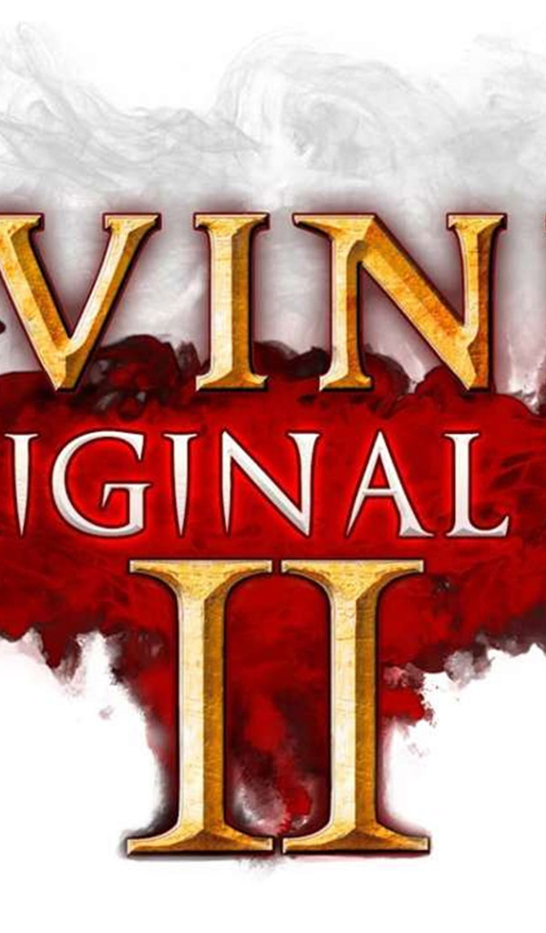 Постер с названием игры Divinity Original Sin II 