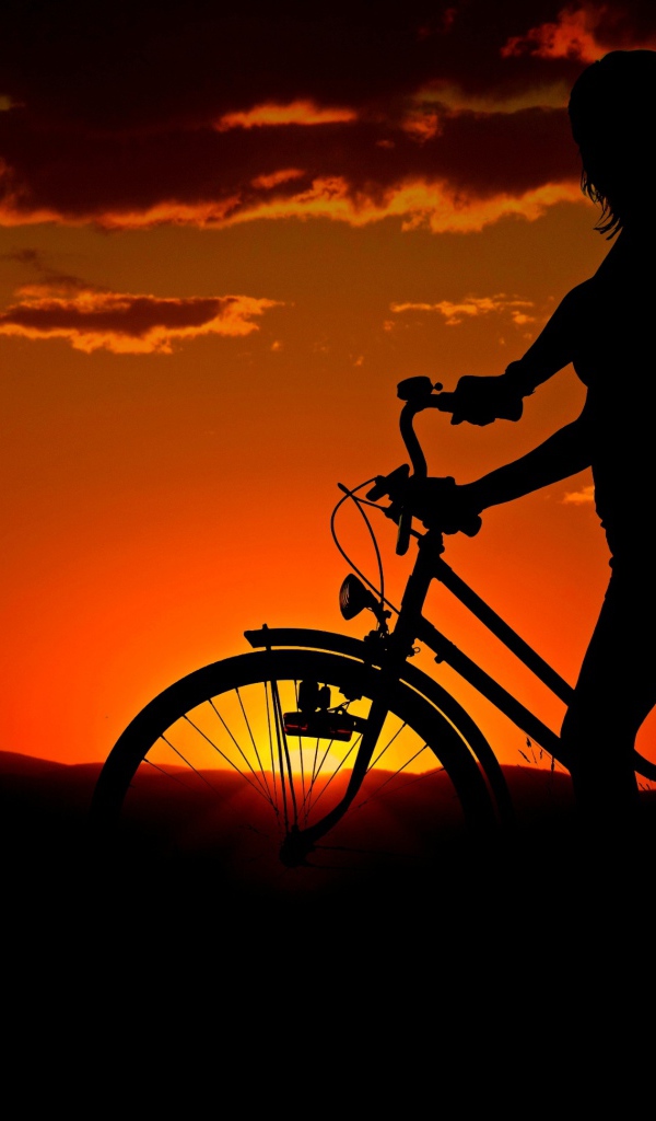 Девушка с велосипедом гуляет с собакой на закате солнца