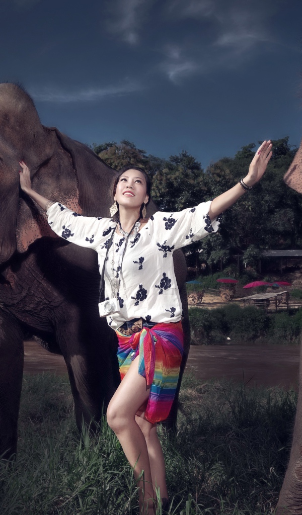 Красивая девушка азиатка с двумя большими слонами