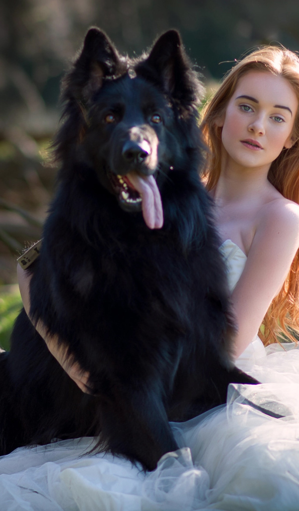 Красивая девушка невеста с большой черной собакой