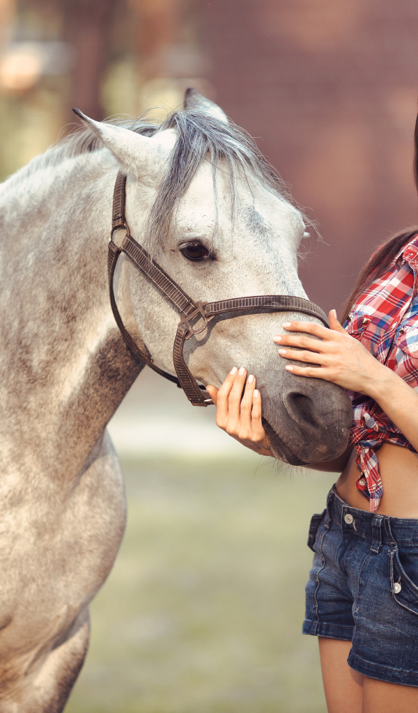 Красивая длинноволосая шатенка с лошадью