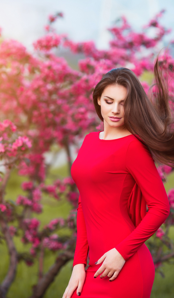 Милая шатенка в красном платье на фоне цветущего дерева