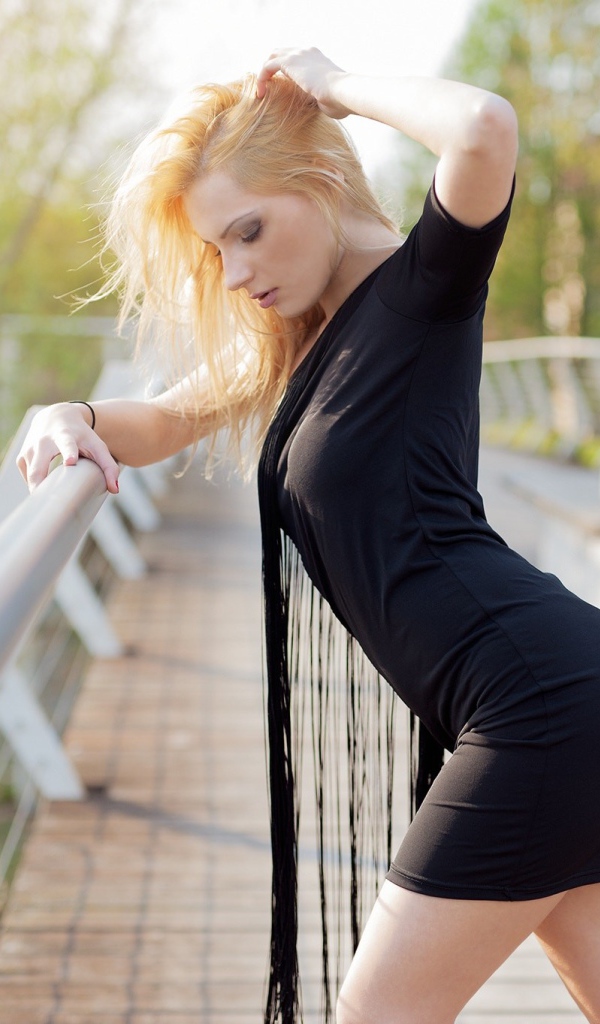 Стройная девушка в черном платье на мосту