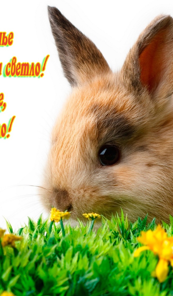 Поздравление со Светлым Христовым Воскресением 