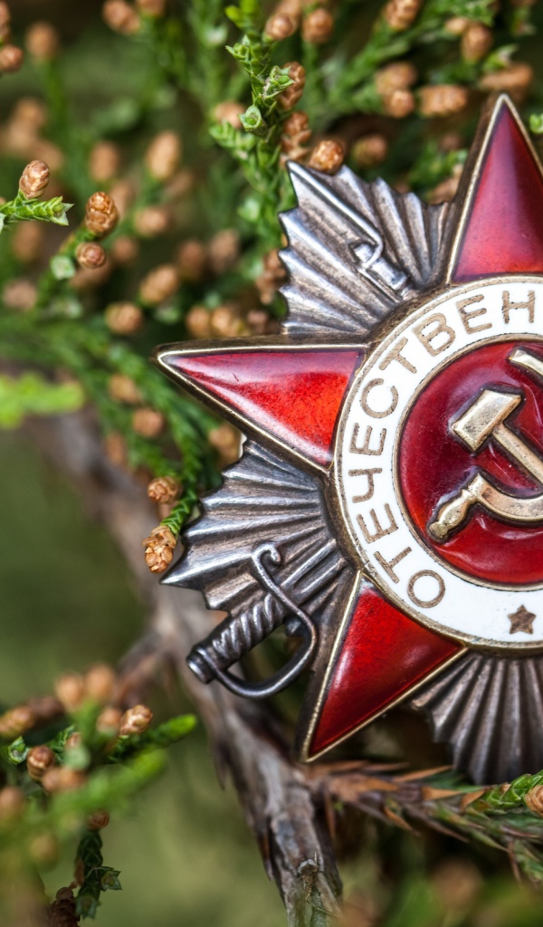 Орден Отечественной войны на День Победы 9 мая 