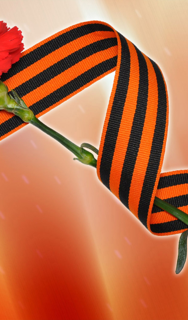 Красная гвоздика и георгиевская лента на 9 мая 