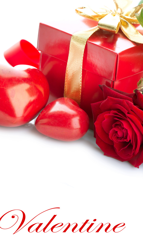 Красная роза с подарком и сердечками на белом фоне ко Дню всех влюбленных 14 февраля