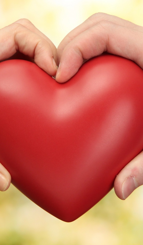 Парень и девушка  держат в руках большое красное сердце