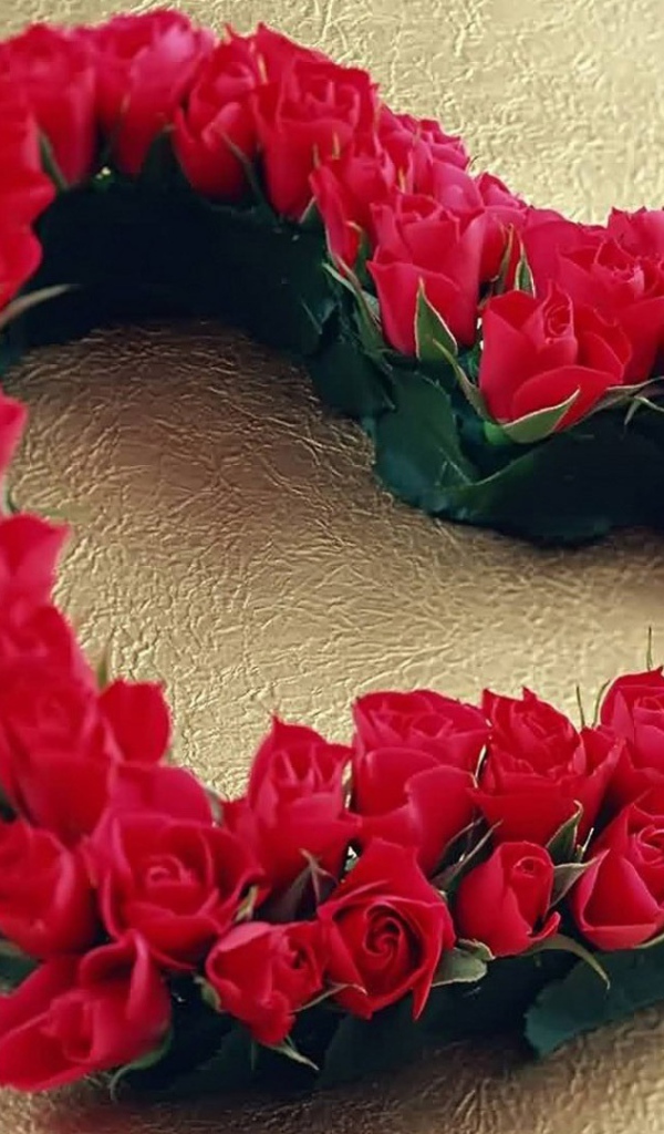 Большое сердце из красных роз 