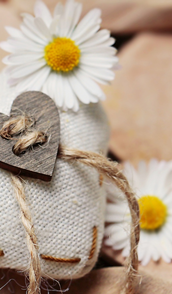 Сердце из ткани с белыми цветами ромашки