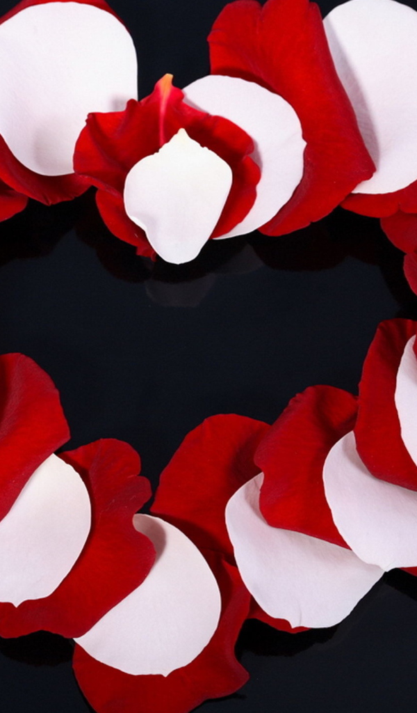 Сердце из лепестков розы 