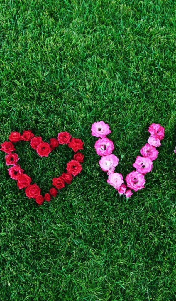 Надпись Любовь выложена из роз на зеленой траве