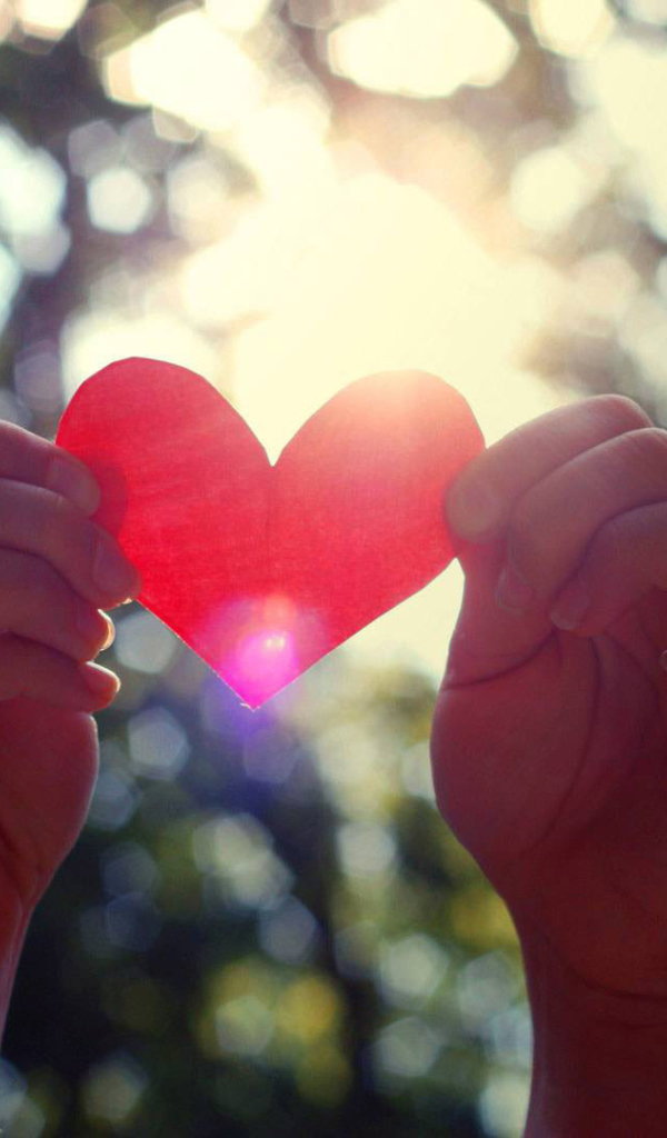 Бумажное сердце в руках 