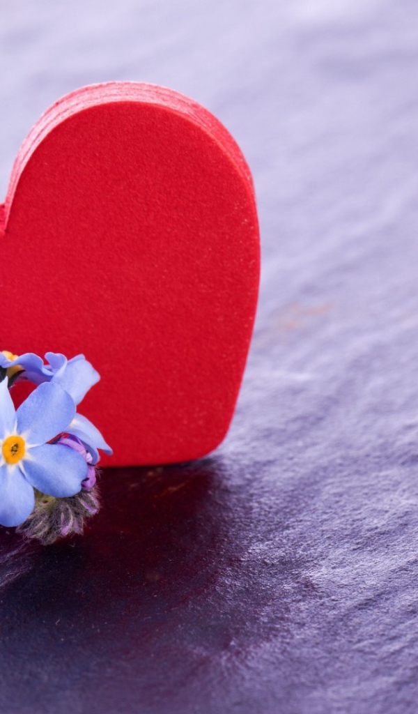 Красное сердце и нежные голубые цветы  