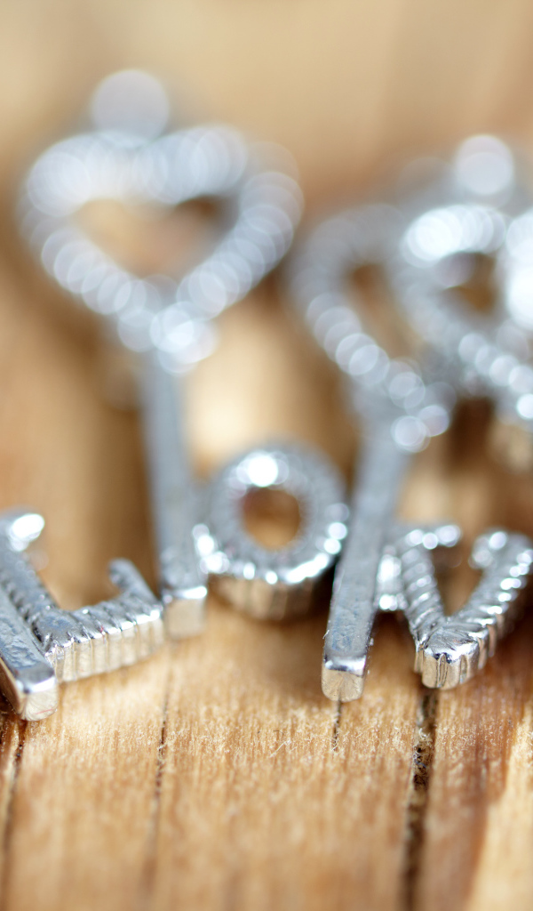 Серебряные ключи с надписью LOVE