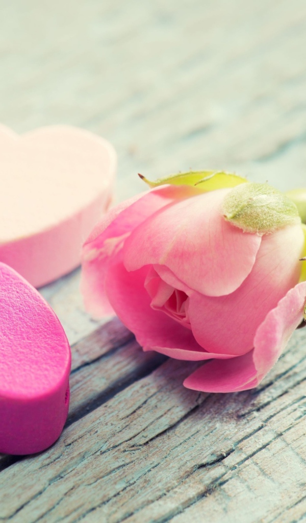 Два розовых сердца и розовая роза лежат на деревянной поверхности