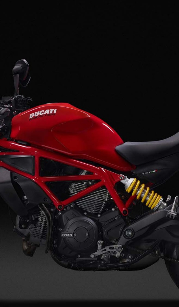 Мотоцикл Ducati Monster 797, вид сбоку
