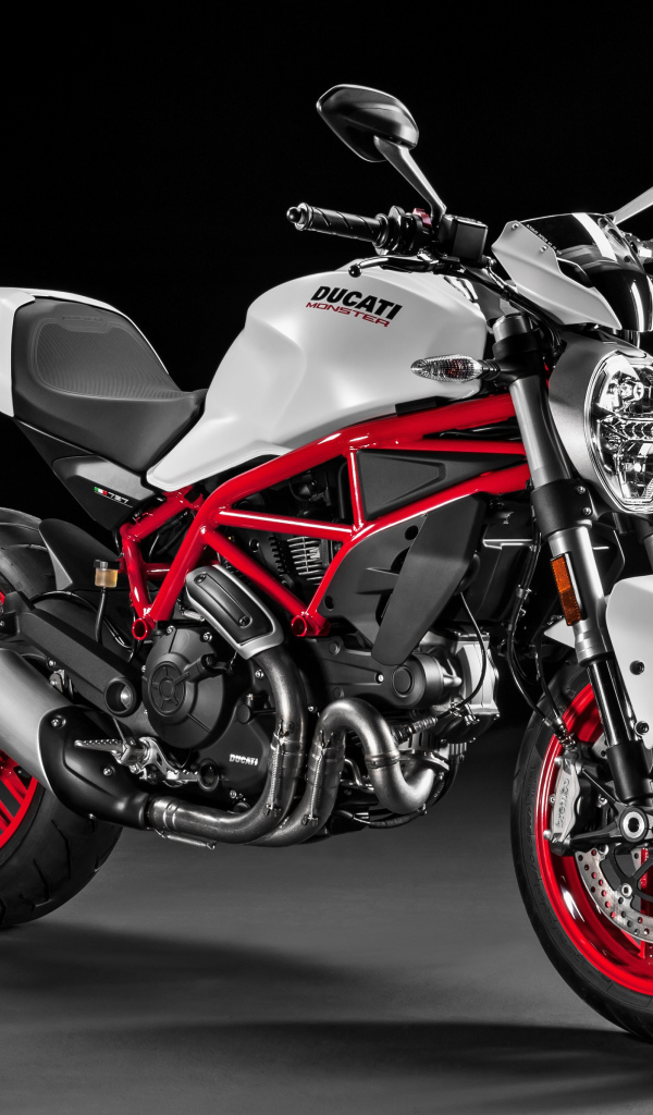 Стильный гоночный мотоцикл Ducati Monster 797 Plus, 2017
