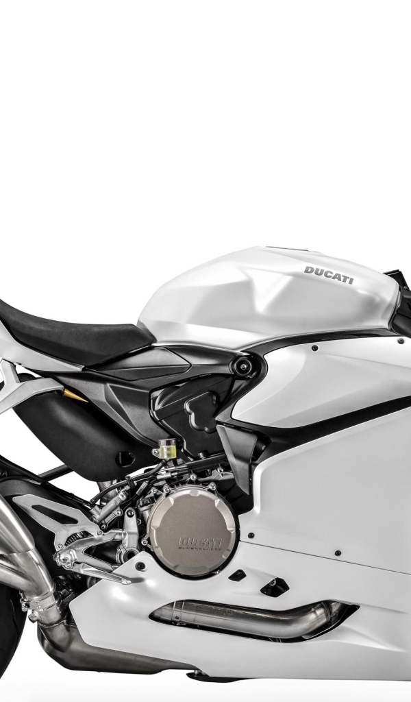 Супербайк Ducati 959 Panigale на белом фоне