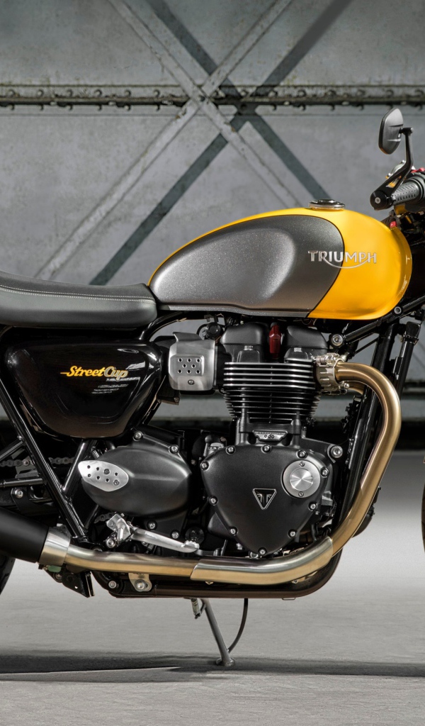 Мотоцикл Triumph Street Cup вид сбоку