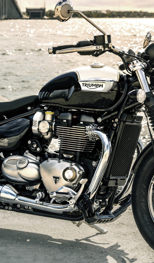 Стильный черный мотоцикл Triumph Bonneville Speedmaster, 2018 у воды