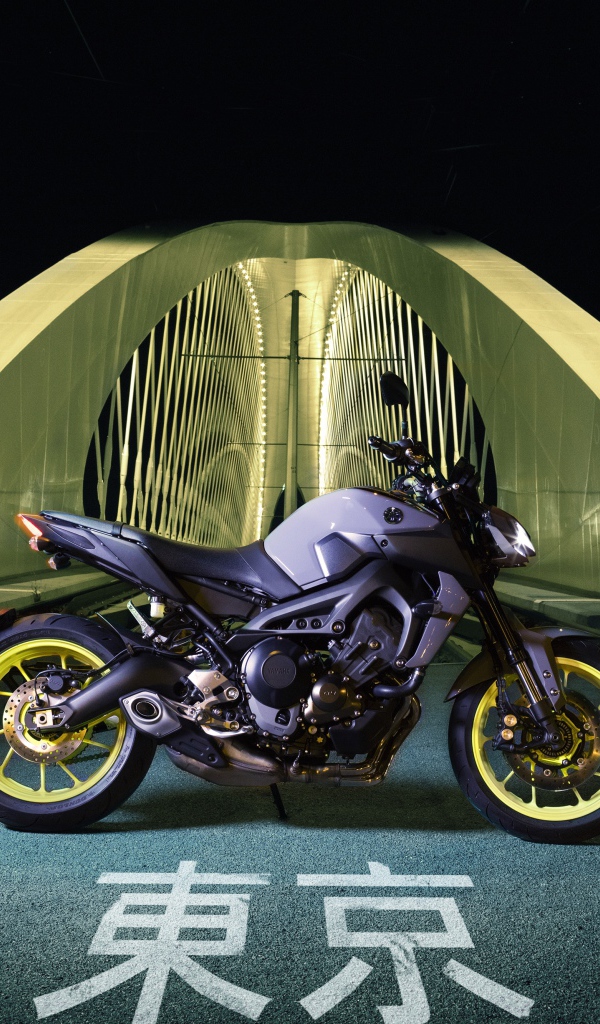Мотоцикл Yamaha MT-09 