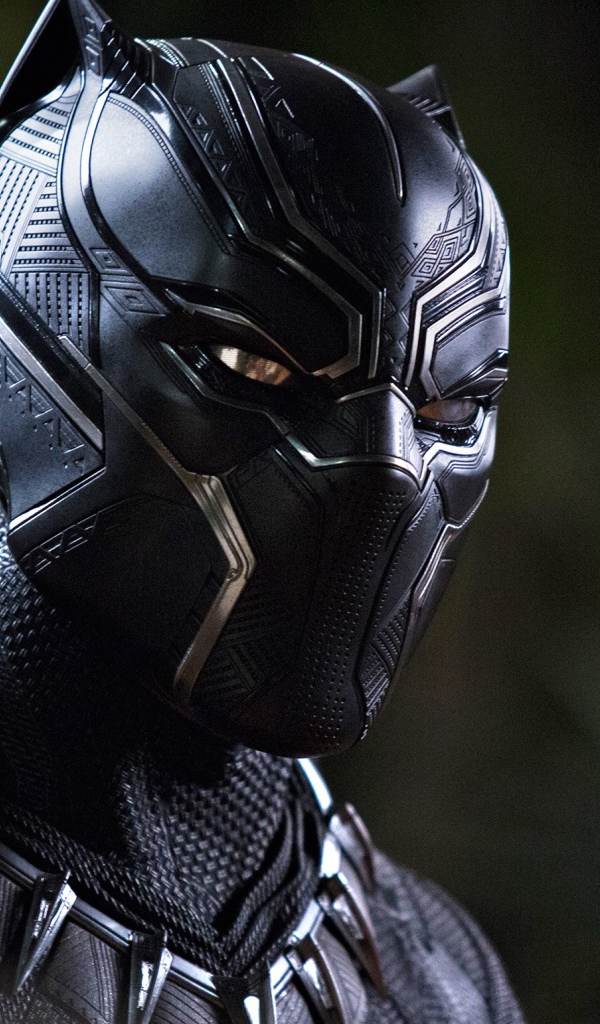 Главный персонаж нового фантастического фильма Черная пантера, 2018