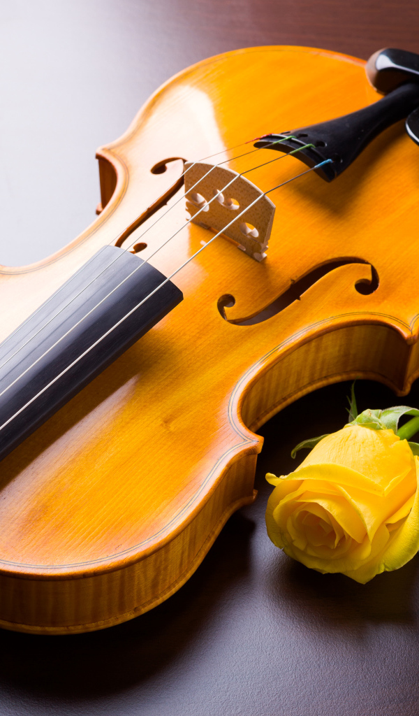 Скрипка с желтой розой и бокалом красного вина