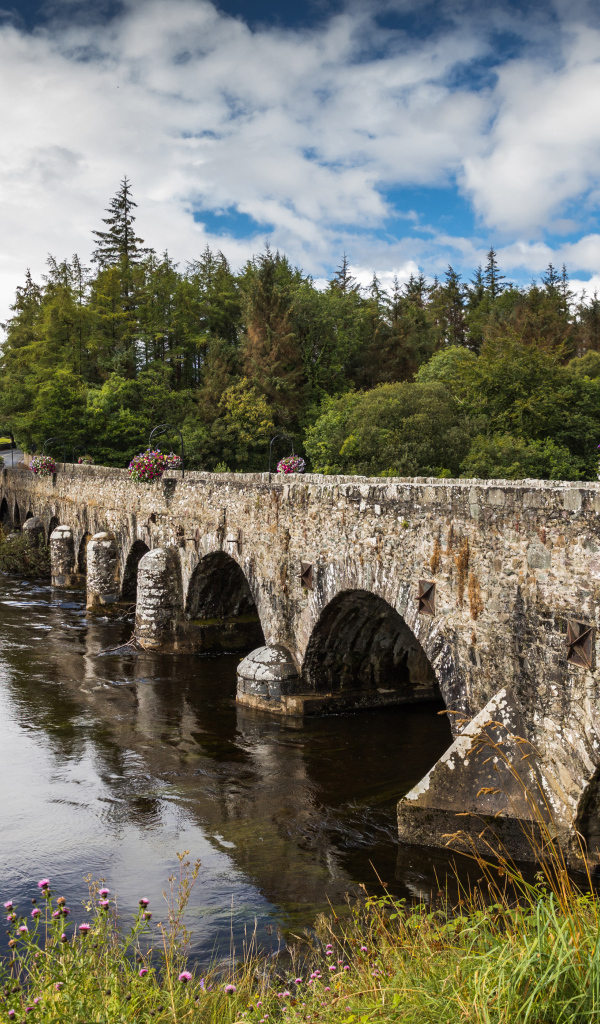 Мост через реку у леса на фоне красивого голубого неба с белыми облаками. Ирландия