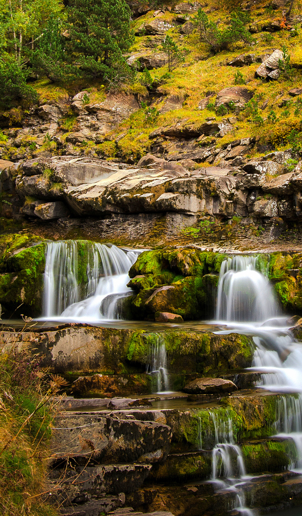 Быстрый ручей стекает по скале в осеннем лесу