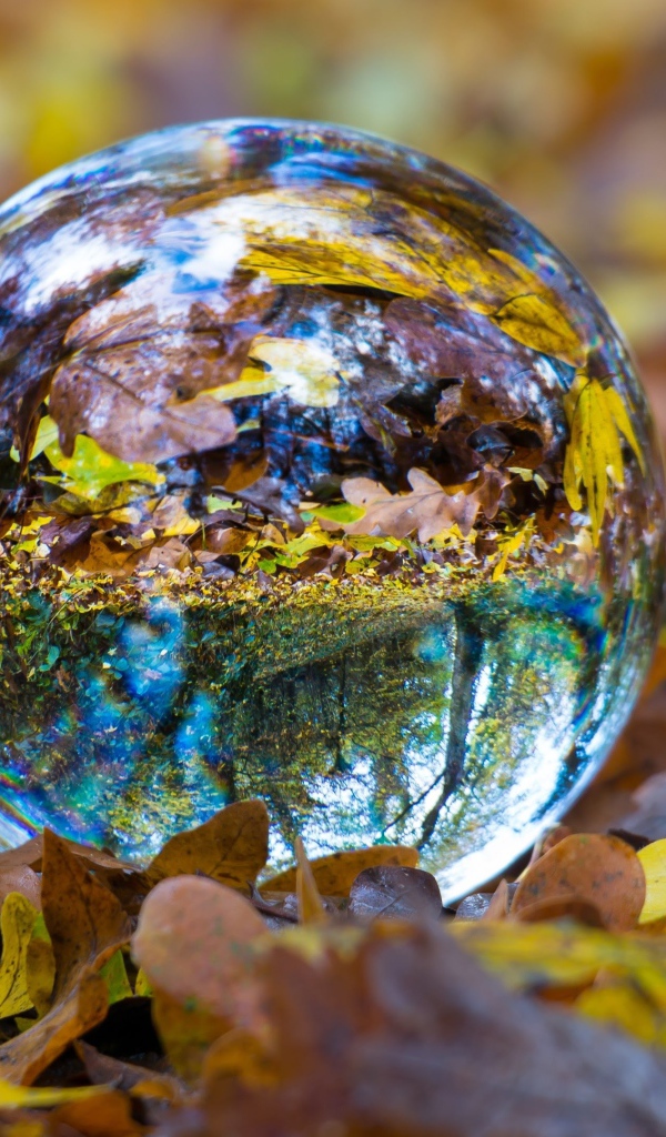 Стеклянный шар лежит на сухой желтой траве осенью