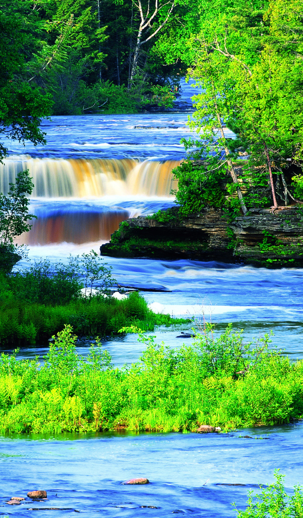 Живописная река с водопадом между зеленых деревьев 