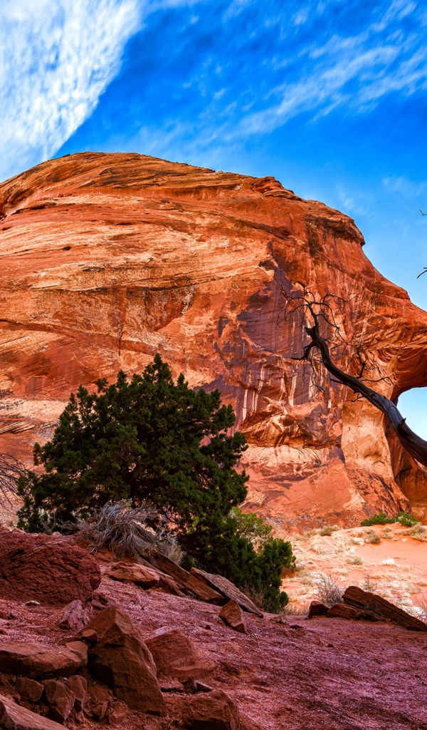 Каменный каньон под красивым голубым небом