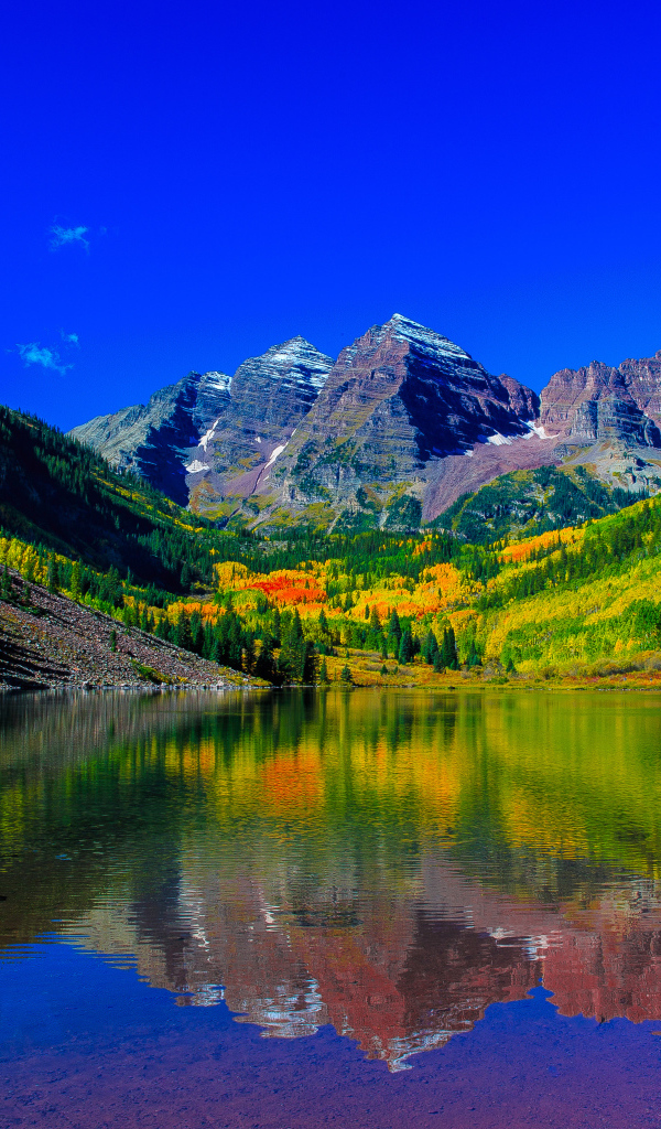 Красивая зеленая природа у водоема в горах 