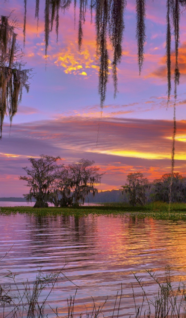 Красивое небо на закате над лесным озером